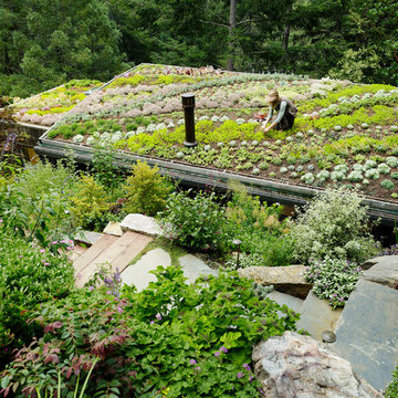 Mill Valley Cabins