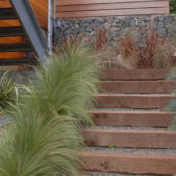 MILL VALLEY MODERN GARDEN