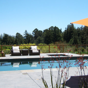 Mill Valley Modern