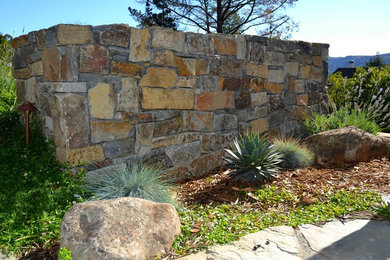 Photo of a mediterranean landscaping in San Francisco.