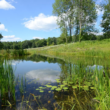 Millerton Retreat: Pond