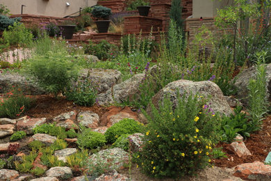 Design ideas for a mid-sized southwestern drought-tolerant and full sun front yard stone landscaping in Denver.