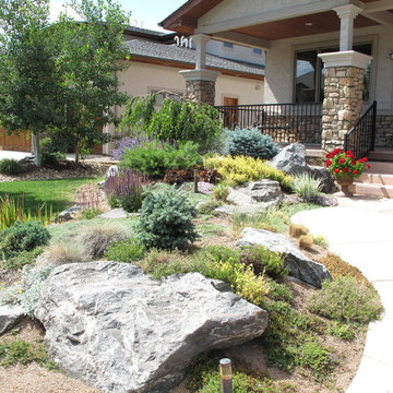 Minimal Lawn Xeriscape Garden