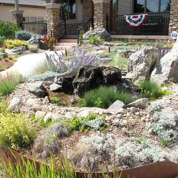 Minimal Lawn Xeriscape Garden