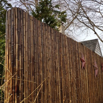 Mississauga Bamboo Wall