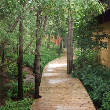 Mississauga Lake, deck path through woods