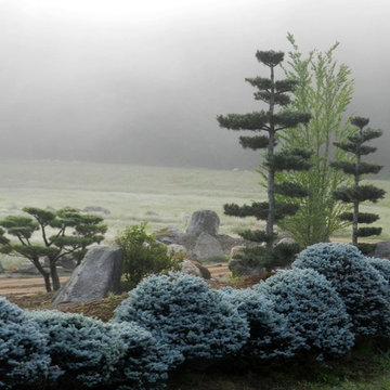 Misty Morning near the O-kurakomi