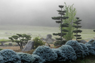 Cette photo montre un jardin asiatique.