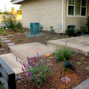 75 Beautiful Xeriscape with Brick Pavers Ideas & Designs - September ...