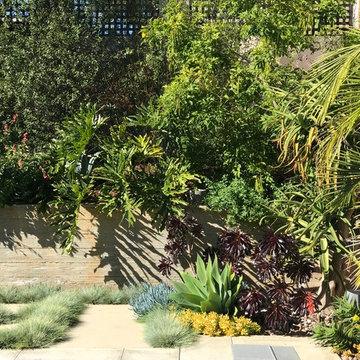 Modern & Drought Tolerant Landscape in Banker's Hill