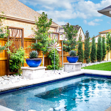 Modern Backyard