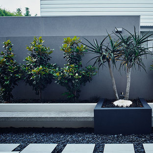 Idee per un giardino minimal nel cortile laterale con un ingresso o sentiero e pavimentazioni in pietra naturale