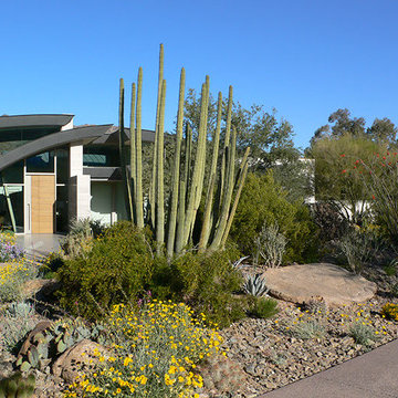 Modern Botanical Garden | Front Desert Landscape