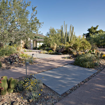 Modern Botanical Garden | Front Entry