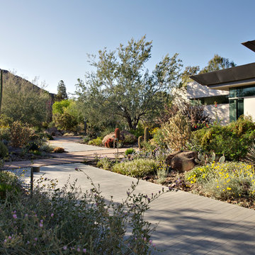 Modern Botanical Garden