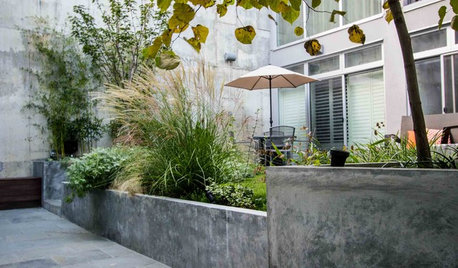 From Concrete ‘Jail Yard’ to Lush Escape in Brooklyn