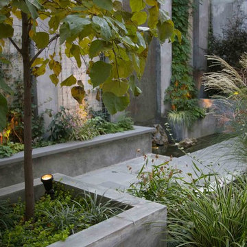 Modern Brooklyn Garden