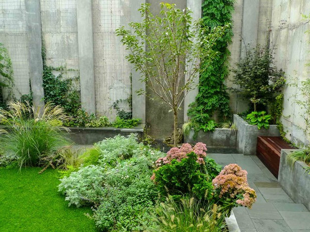 Contemporary Garden by Outside Space NYC Landscape Design