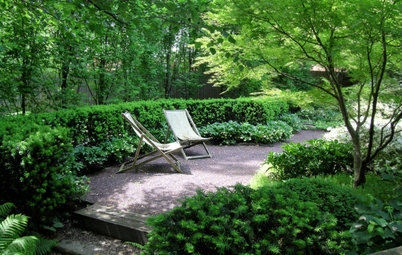 Easy-Care Evergreen Plants and Combos for Stunning Shade Gardens