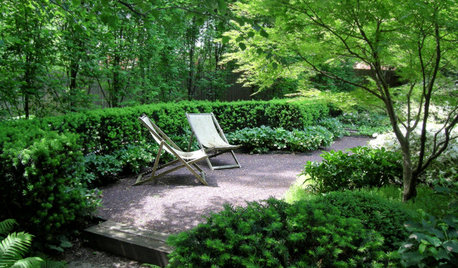Easy-Care Evergreen Plants and Combos for Stunning Shade Gardens