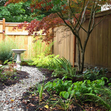 Modern Cottage Shade Garden with native plants & and stone patio