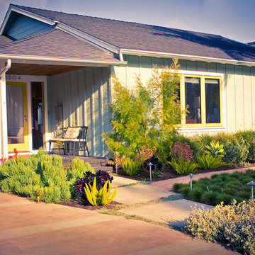 Modern cottage with low water frontyard planting
