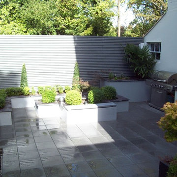 Modern Courtyard Garden