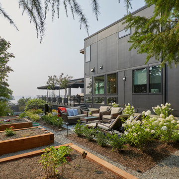 Modern Custom Backyard