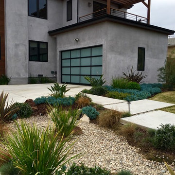 Modern Driveway and Front Entry Way with Rain Garden