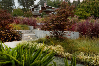 Diseño de jardín de tamaño medio en patio delantero con jardín de macetas y adoquines de piedra natural