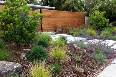 This is an example of a modern landscaping in San Francisco.