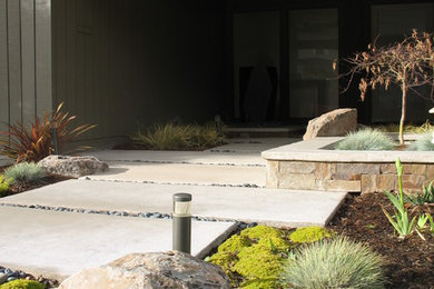 Diseño de camino de jardín minimalista pequeño en patio delantero con exposición total al sol