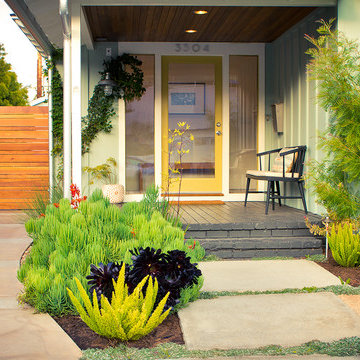 Modern entry with painted brick, concrete pavers, succulents and shrubs