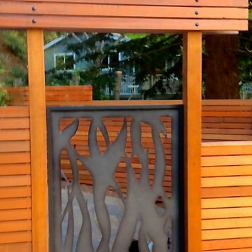 Modern fence and gate