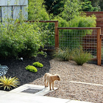 Modern Fencing For A Modern Garden