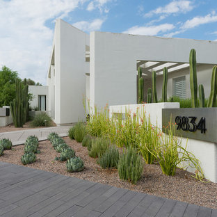 Esempio di un giardino xeriscape design davanti casa con un ingresso o sentiero e ghiaia