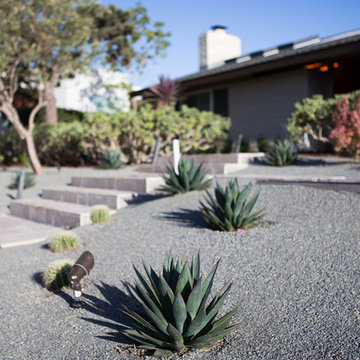 Modern Garden Design - La Jolla, CA