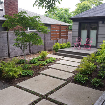 Modern Backyard Garden
