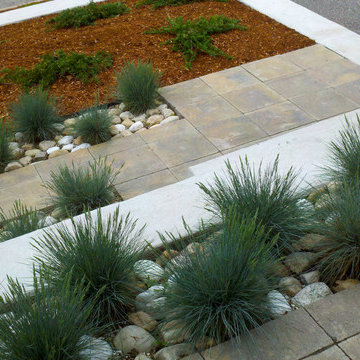 Modern Landscape Details