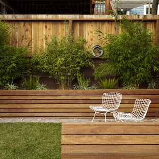 This is an example of a contemporary backyard raised garden bed in San Francisco.