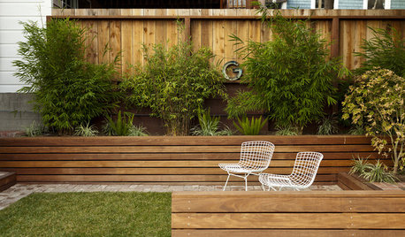 8 Ways to Get Your Backyard Ready for Spring
