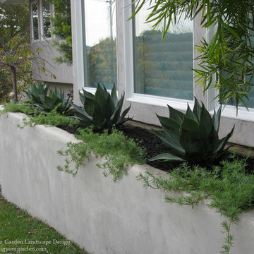 Modern Landscape with Architectural Plants - Greenbrae, CA