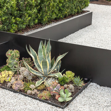 Modern Landscaping