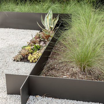 Modern Landscaping