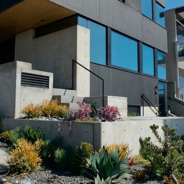 Modern Manhattan Beach Strand front yard with colorful succulent plantings.