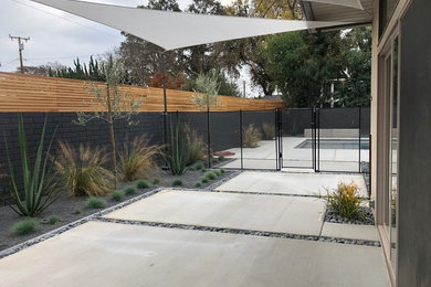Photo of a mid-sized mid-century modern drought-tolerant and partial sun side yard concrete paver landscaping in Other.