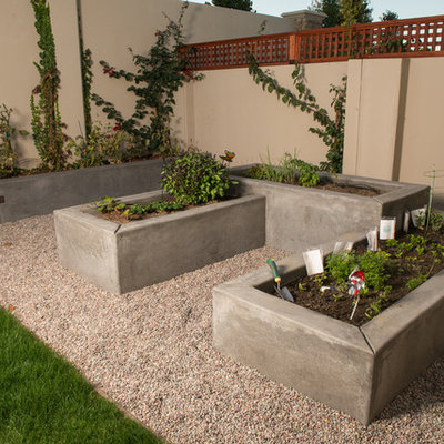 Photo of a traditional vegetable garden landscape in San Francisco.