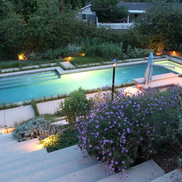 Modern Pool and Garden