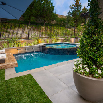 Modern Pool, Spa and Landscaping