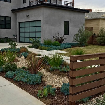 Modern Rain Garden Driveway